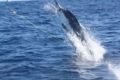IMG_2421_240x160